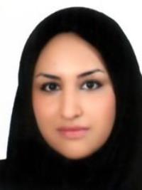 طرلان صادقی مزیدی